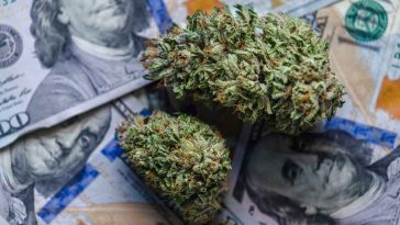 Les meilleures actions de marijuana sur le Nasdaq pour novembre 2021 - Burzovnisvet.cz - Actions, Bourse, Change, Forex, Matières premières, IPO, Obligations