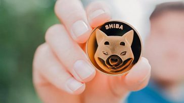 Attention au Dogecoin ! Le jeton "Shiba inu" est entré dans le top 10 des crypto-monnaies - Burzovnisvet.cz - Actions, bourse, forex, matières premières, IPO, obligations