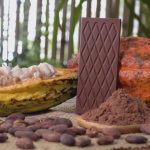 Perspectives du prix du cacao : le broyage dépasse les niveaux pré-pandémiques - Burzovnisvet.cz - Stocks, Exchange, Stock, Forex, Commodities, IPO, Bonds