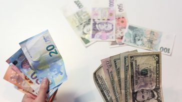 Cette année, la couronne s'est renforcée de 2,4 % par rapport à l'euro et s'est affaiblie de 3,2 % par rapport au dollar - Burzovnisvet.cz - Actions, taux de change, forex, matières premières, IPO, obligations