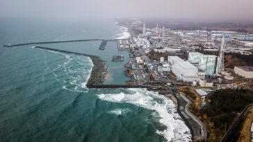 Les agriculteurs de Fukushima craignent que l'eau contaminée ne nuise à leur activité 10 ans après la catastrophe nucléaire - Burzovnisvet.cz - Actions, Bourse, Change, Forex, Matières premières, IPO, Obligations