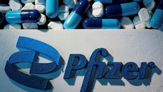 La pilule Covid de Pfizer secoue le commerce mondial des médicaments - Burzovnisvet.cz - Actions, bourse, forex, matières premières, IPO, obligations