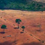 La déforestation de la forêt amazonienne brésilienne atteint son plus haut niveau depuis 15 ans, selon les données de l'agence spatiale locale - Burzovnisvet.cz - Actions, Bourse, FX, Matières premières, IPO, Obligations
