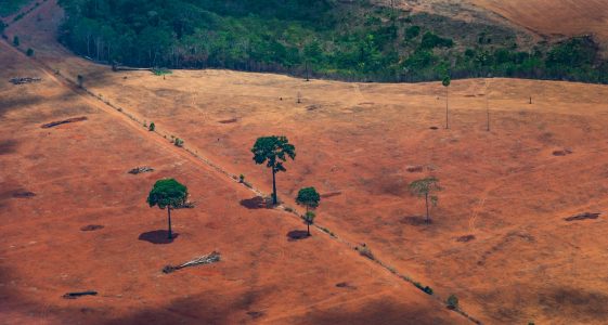 La déforestation de la forêt amazonienne brésilienne atteint son plus haut niveau depuis 15 ans, selon les données de l'agence spatiale locale - Burzovnisvet.cz - Actions, Bourse, FX, Matières premières, IPO, Obligations
