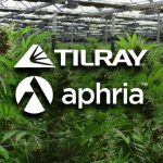 Tilray : Tilray est-il encore une bonne affaire ? - Burzovnisvet.cz - Actions, bourse, forex, matières premières, IPO, obligations
