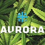 Canopy Growth vs Aurora Cannabis : quelle entreprise a réalisé les meilleurs bénéfices ? - Burzovnisvet.cz - Actions, Bourse, Marché, Forex, Matières premières, IPO, Obligations