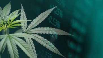 L'entreprise de cannabis médical Equinox va entrer en bourse à Londres pour mettre fin à la dépendance de la Grande-Bretagne à l'égard des importations - Burzovnisvet.cz - Actions, Bourse, Change, Forex, Matières premières, IPO, Obligations