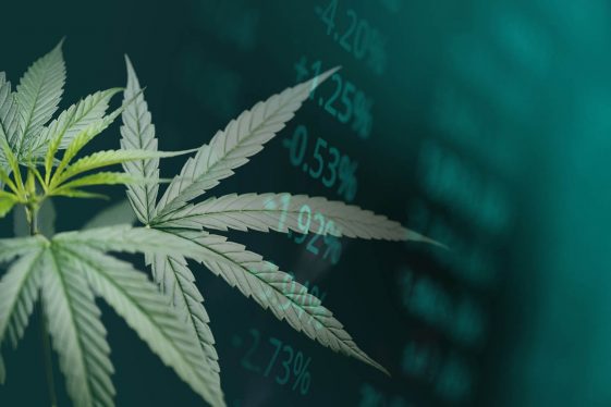 L'entreprise de cannabis médical Equinox va entrer en bourse à Londres pour mettre fin à la dépendance de la Grande-Bretagne à l'égard des importations - Burzovnisvet.cz - Actions, Bourse, Change, Forex, Matières premières, IPO, Obligations