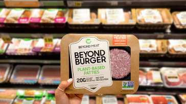 Les actions de Beyond Meat chutent en raison de l'augmentation des pertes, la société s'attend à une faible croissance des ventes aux États-Unis - Burzovnisvet.cz - Stocks, Stock, Exchange, Forex, Commodities, IPO, Bonds