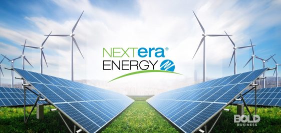 NextEra Energy : une grande entreprise énergétique, mais une action chère - Burzovnisvet.cz - Actions, Bourse, FX, Matières premières, IPO, Obligations