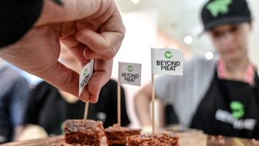 Les actions de Beyond Meat ont chuté vendredi à la suite de la nouvelle selon laquelle Taco Bell a suspendu les tests d'un nouveau produit - Burzovnisvet.cz - Stocks, Stock, Exchange, Forex, Commodities, IPO, Bonds