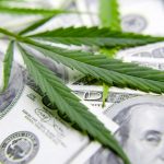 Trulieve Cannabis : Le timing peut être bon - Burzovnisvet.cz - Actions, bourse, forex, matières premières, IPO, obligations