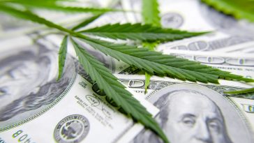 Trulieve Cannabis : Le timing peut être bon - Burzovnisvet.cz - Actions, bourse, forex, matières premières, IPO, obligations