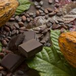 Des pluies légères et des vents doux aident la récolte de cacao en Côte d'Ivoire, selon les agriculteurs - Burzovnisvet.cz - Actions, Bourse, Change, Forex, Matières premières, IPO, Obligations