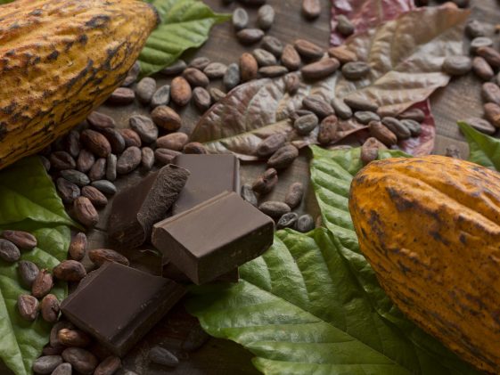 Des pluies légères et des vents doux aident la récolte de cacao en Côte d'Ivoire, selon les agriculteurs - Burzovnisvet.cz - Actions, Bourse, Change, Forex, Matières premières, IPO, Obligations