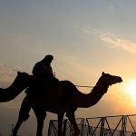 Abú Zabí v roce 2021 překonalo trhy na Blízkém východě