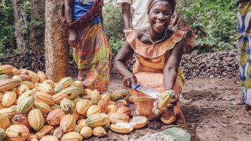 Les pluies douces et le soleil sont de bon augure pour le cacao de Côte d'Ivoire à la mi-récolte - Burzovnisvet.cz - Actions, Bourse, FX, Matières premières, IPO, Obligations