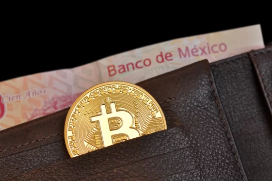 La banque centrale du Mexique va introduire une monnaie numérique d'ici 2024 - Burzovnisvet.cz - Actions, taux de change, forex, matières premières, IPO, obligations