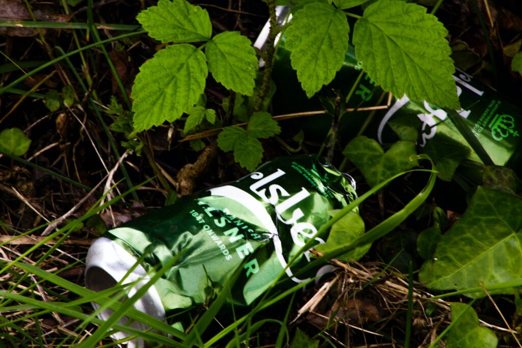 paquet de plastique vert et blanc sur des feuilles séchées brunes