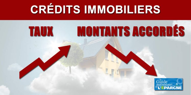 découvrez les tendances des crédits immobiliers stables en août : taux inchangés, conditions d’emprunt, conseils pour réussir votre projet immobilier.
