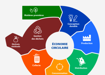 L&rsquo;Europe : entre recyclage et économie circulaire, une confusion coûteuse à surmonter
