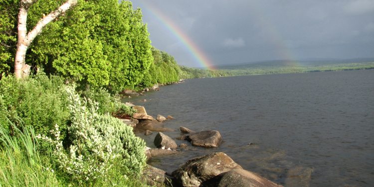 découvrez comment organiser efficacement votre patrimoine à 50 ans pour préparer sereinement votre retraite et optimiser votre avenir financier.